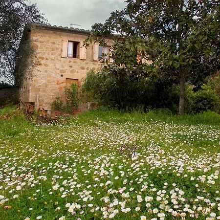 La Vigna Agriturismo Villa Siena Exterior foto