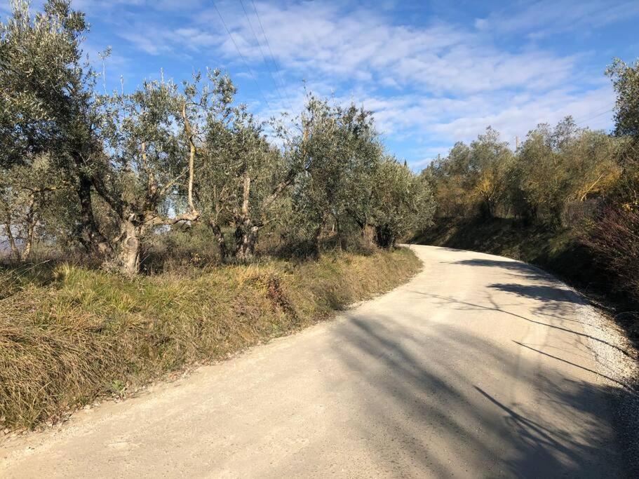 La Vigna Agriturismo Villa Siena Exterior foto