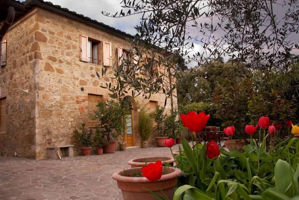 La Vigna Agriturismo Villa Siena Exterior foto