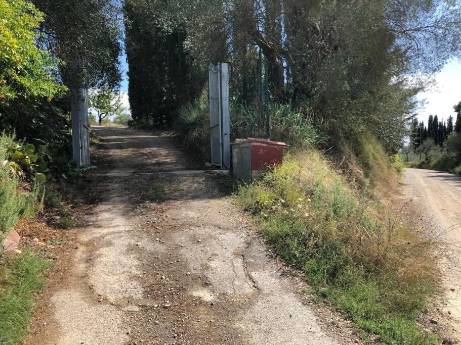 La Vigna Agriturismo Villa Siena Exterior foto