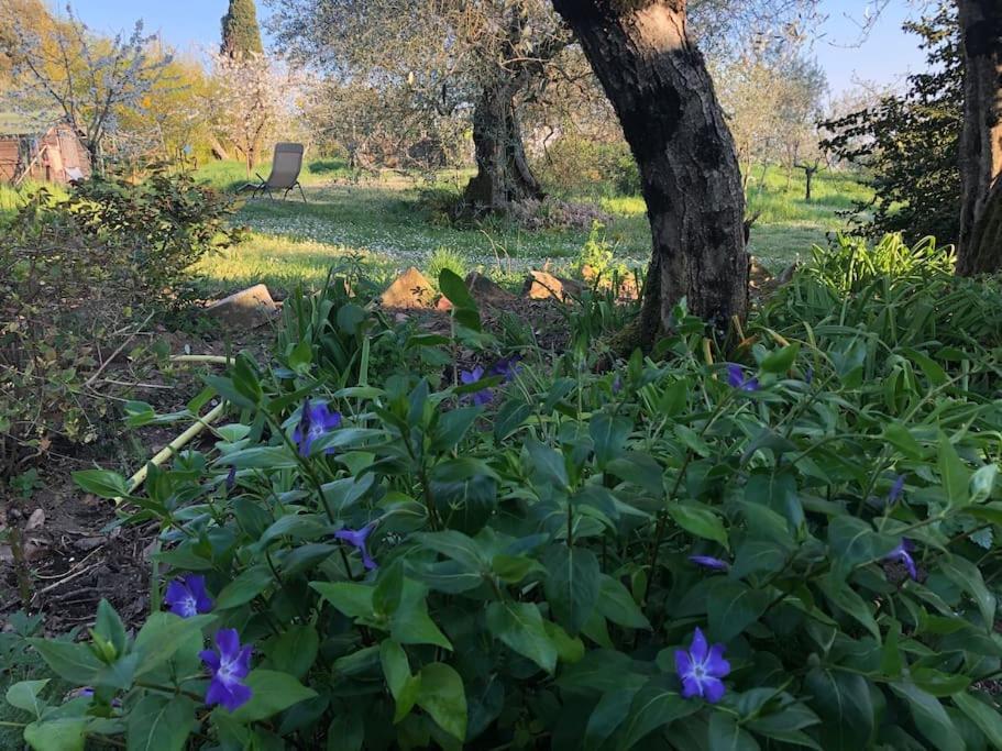 La Vigna Agriturismo Villa Siena Exterior foto