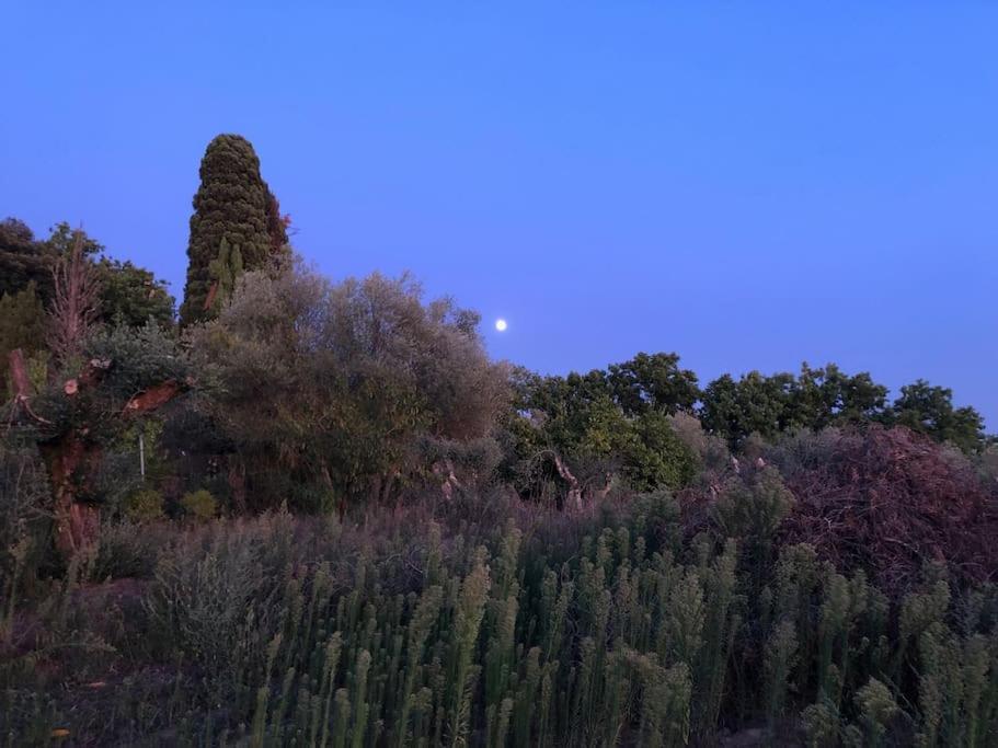 La Vigna Agriturismo Villa Siena Exterior foto