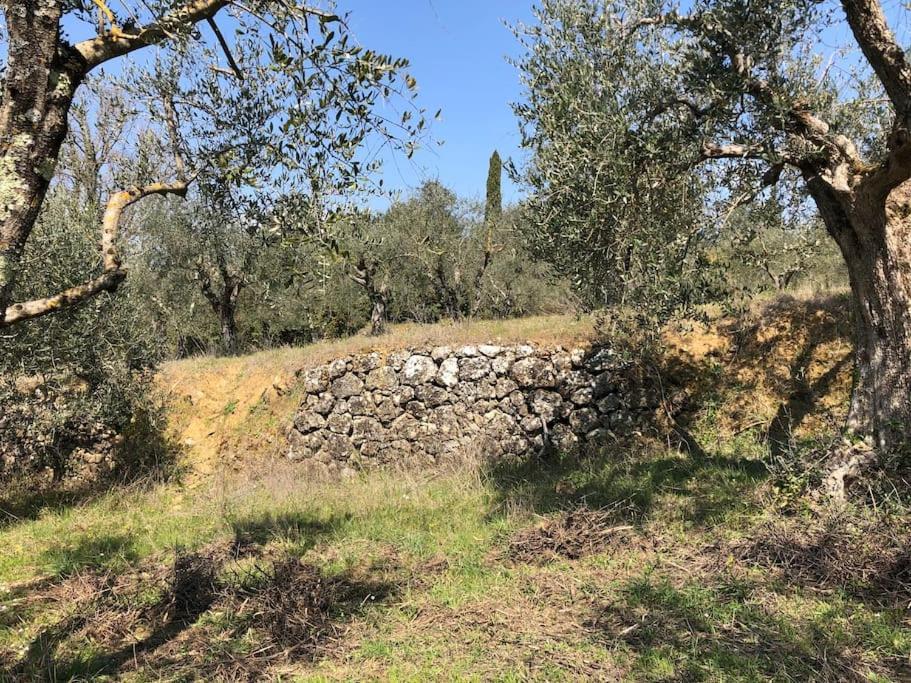 La Vigna Agriturismo Villa Siena Exterior foto