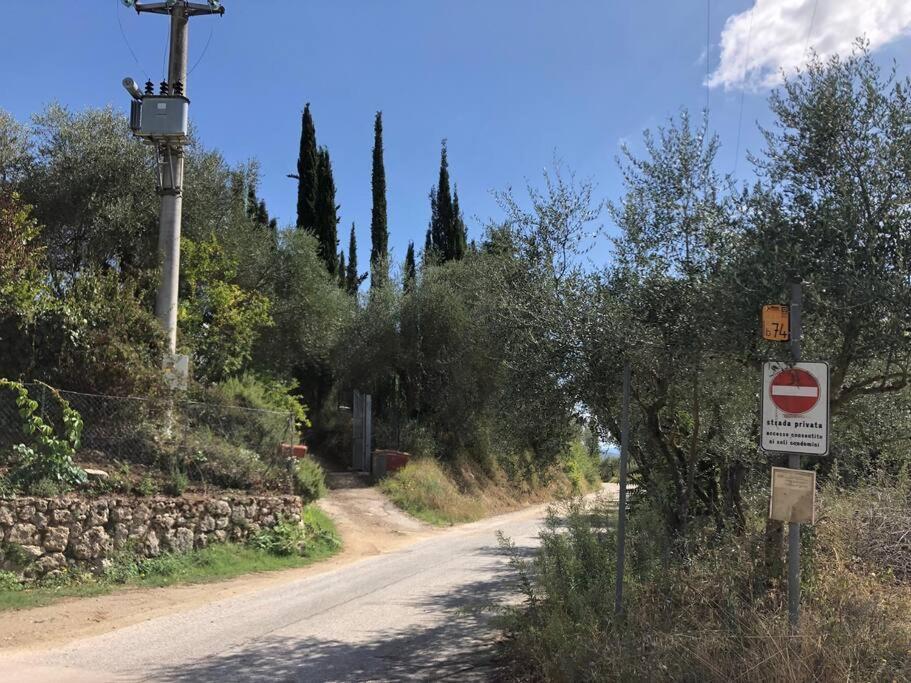 La Vigna Agriturismo Villa Siena Exterior foto